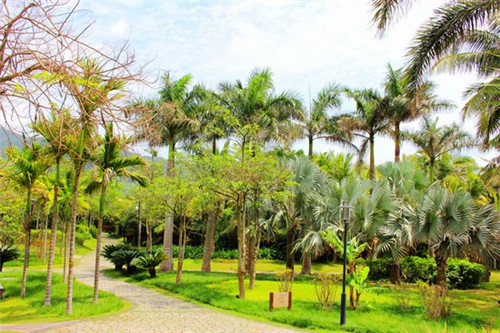 都可加盟费怎么加盟费多少，都可加盟条件及加盟费用多少