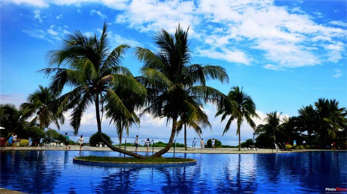 在奶茶店点什么咖啡好呢