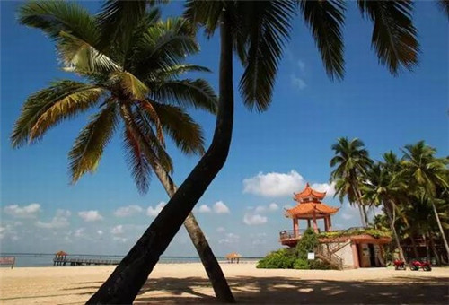 硅胶鞋垫加盟好的项目有哪些，硅胶鞋垫的作用是什么