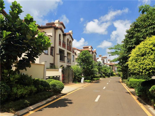 2009年上海最火10大楼盘（2009年上海楼市）