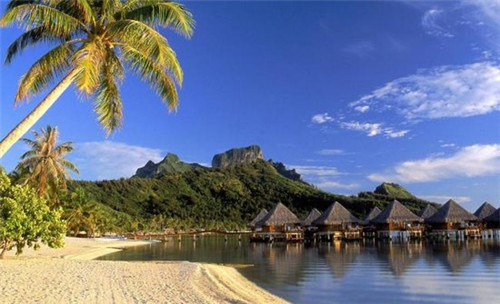 午夜为你唱情歌是什么歌（午夜唱情歌曲）