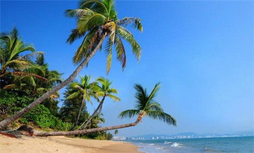 房子装修合同怎么解析（房子装修合同怎么解析的）