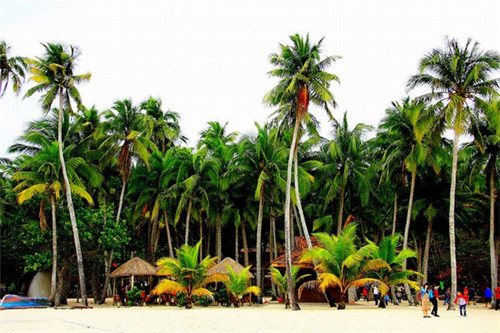 熏小肚制作方法详解（熏肚子有什么好处）