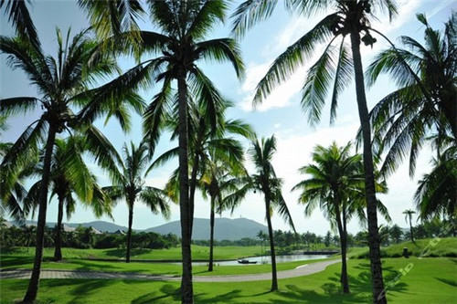 尤慧兰的教育背景是什么（尤慧兰的教育背景是什么样的）