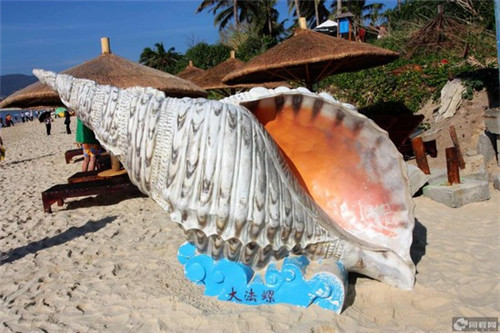 山东海洋是属于哪个市（山东海洋股份有限公司）